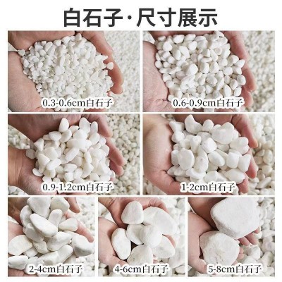 白石子厂家直发庭院造景白石子鹅卵石养花专用石子图2