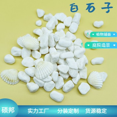 白石子厂家直发庭院造景白石子鹅卵石养花专用石子
