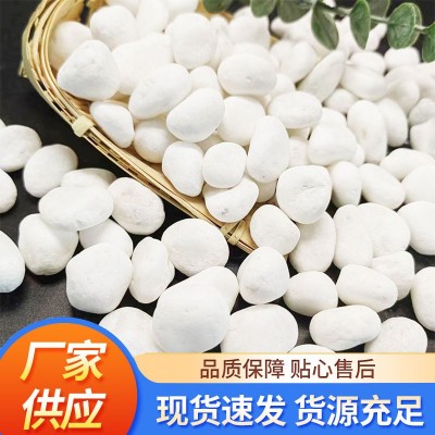 鹅卵石庭院阳台纯白色白色石头白玉石小白石子雨花石多肉铺面石子