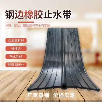 厂家直销建筑工程钢边式橡胶中埋止水带 300×10 400×8 400×10图2