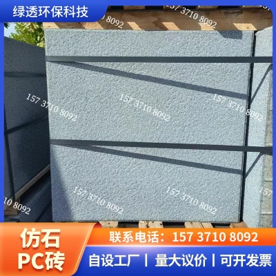 厂家惠批仿石透水砖用于生态园林仿石PC砖庭院户外透水砖PC广场砖图2