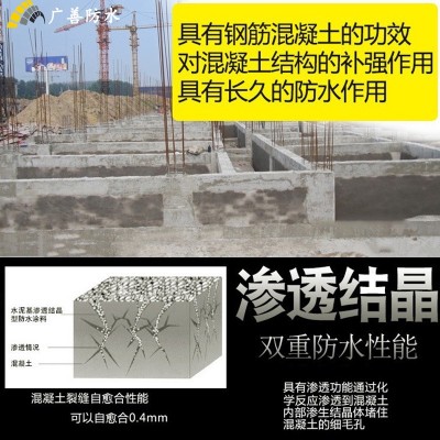 厂家直供渗透结晶防水涂料 水泥基结晶型方式涂料图2