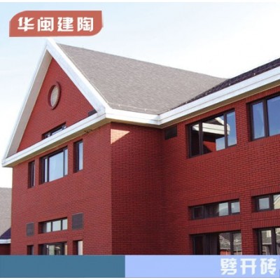 高档别墅小区工程专用 抛砂磨砂窑变质感劈开砖外墙砖 60x240mm图3