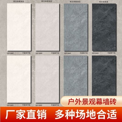 户外幕墙瓷砖庭院外墙地砖别墅院子花园仿古地铺石阳台石英砖室外图2