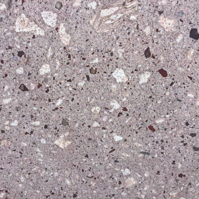 供应湖北新品种花岗岩：紫点灰麻 　黄罗麻 , 紫罗麻图4