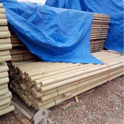 河南户外防腐木 碳化木圆木材 园林地板木屋景观凉亭材料厂家批发图4