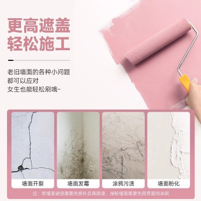 三青漆水性漆室内家用乳胶漆内墙自刷白色墙面翻新修复防 霉环保漆图4
