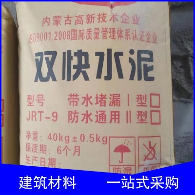 道路抢修用特种堵漏凝固快 批发抗裂防水通用特种双快水泥图4