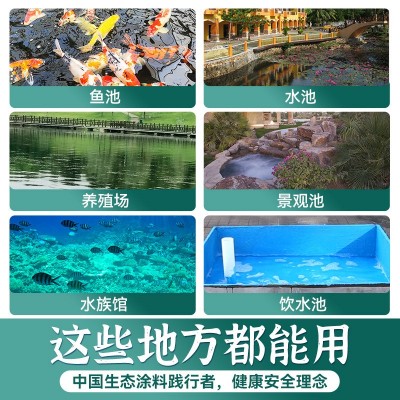 鱼池防水涂料长期泡水水泥防漏饮用水池漏水补漏材料漆专用 防水胶图3