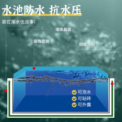 鱼池防水涂料长期泡水水泥防漏饮用水池漏水补漏材料漆专用 防水胶图4