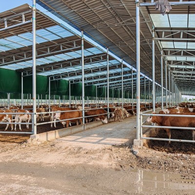 FRP玻璃钢瓦不生锈免拆旧瓦翻新瓦防腐蚀养殖场采光瓦厂家批发图3