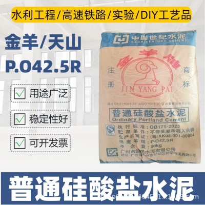 工厂直供 P.O42.5 普通硅酸盐水泥实验建筑家用砌砖水泥混凝土