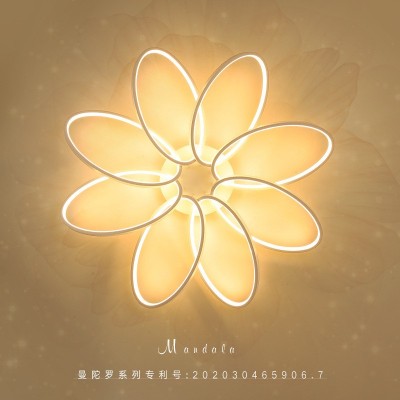 跨境爆款吸顶灯led北欧简约现代花瓣卧室灯创意大气艺术客厅灯具图4
