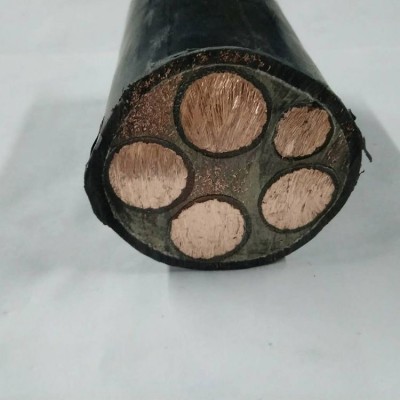 中策低烟无卤耐火电缆 WDZBN-YJV4*185+1*95平方 国标铜电缆批发图5