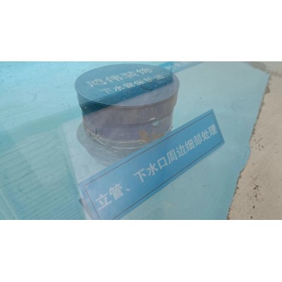 德系-巴斯夫防水工艺