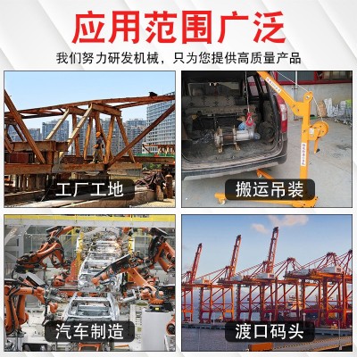 300公斤移动家用小吊机室内外吊运机500kg升降起重机 小型吊机图5